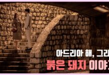 븕은 돼지